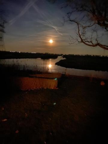 Ingeborgh Art Gastenverblijf Grootschermer Bagian luar foto